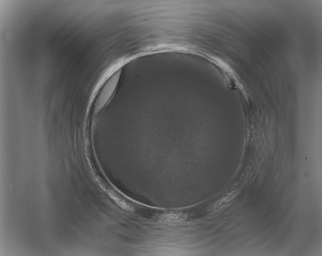 X0000058761373200510071505