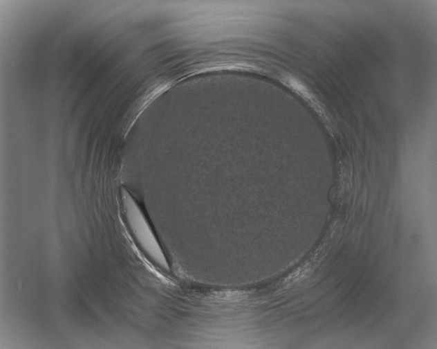 X0000058761377200510071505