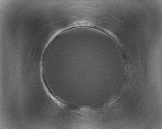 X0000058761383200510071505
