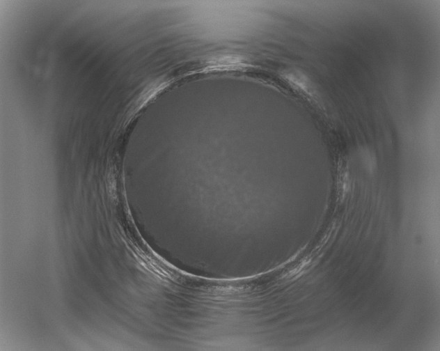 X0000058761401200510071504