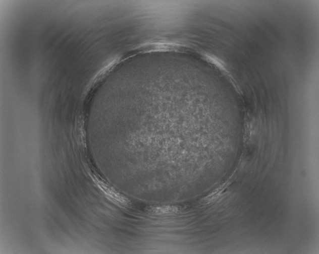 X0000058761403200510071504