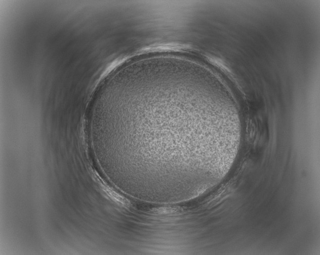 X0000058761404200510071504