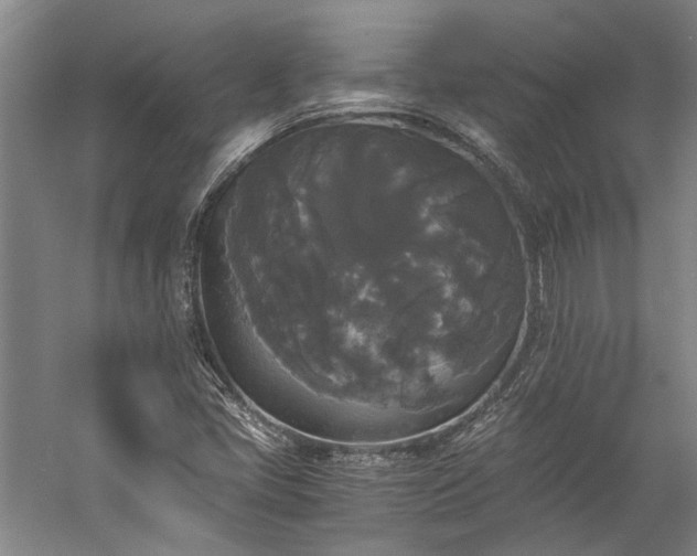 X0000058761405200510071504