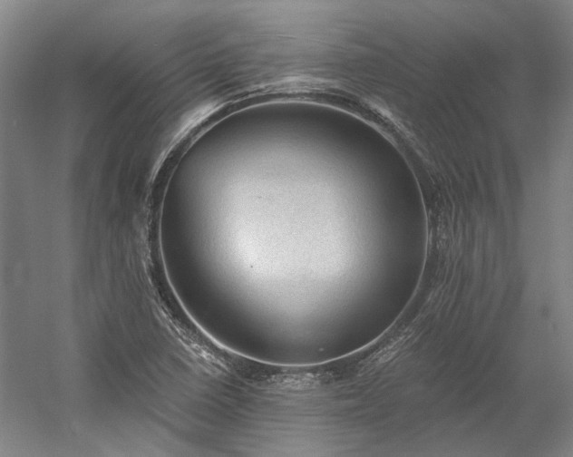 X0000058761410200510071504