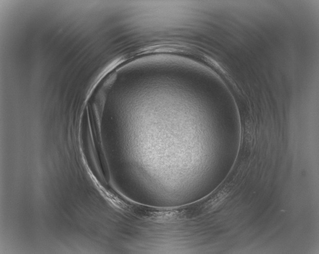 X0000058761426200510071504