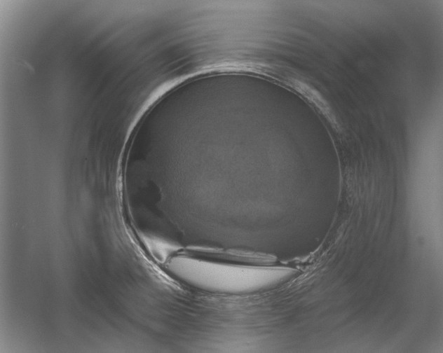 X0000058761428200510071504