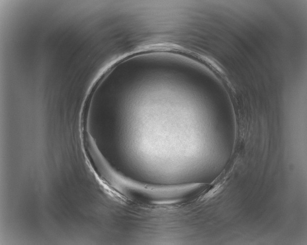 X0000058761430200510071504
