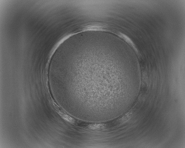 X0000058761435200510071505
