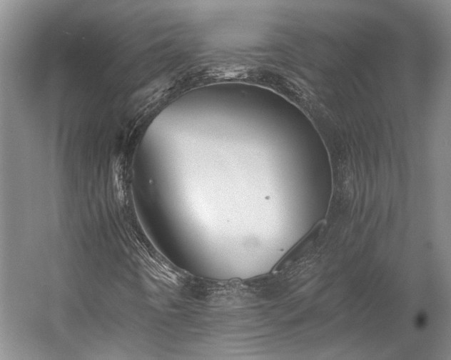 X0000058761442200510071504