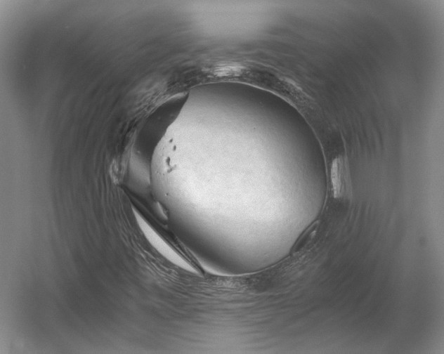 X0000058761443200510071504