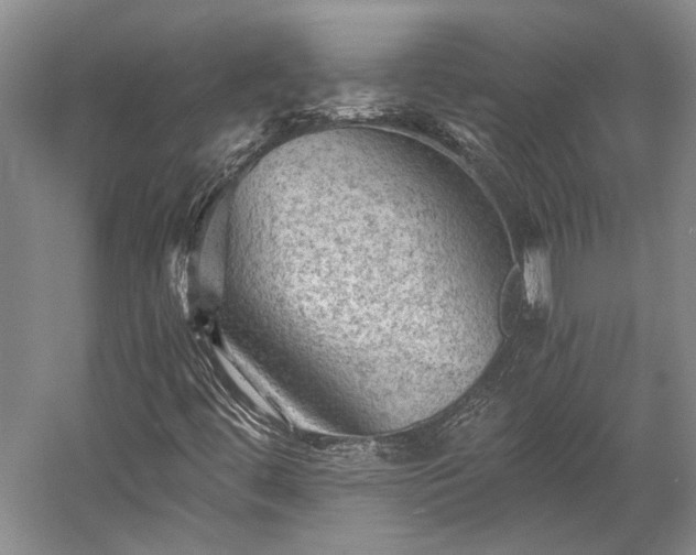 X0000058761444200510071504