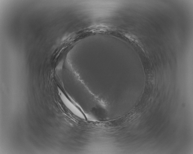 X0000058761445200510071504