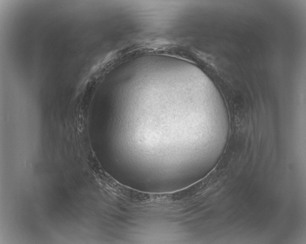 X0000058761447200510071504