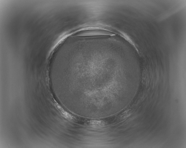 X0000058761456200510071504