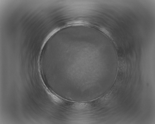X0000058761474200510071503