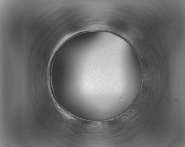 X0000058761478200510071503