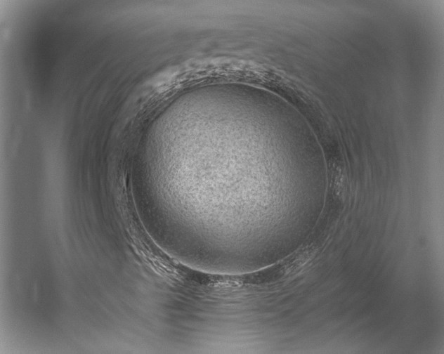 X0000058761489200510071502
