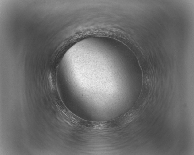 X0000058761490200510071502