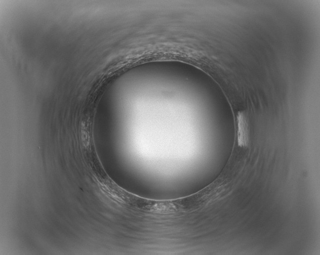 X0000058761491200510071502