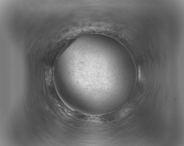 X0000058761492200510071502