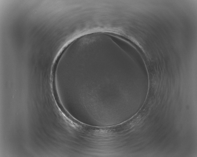 X0000058761508200510071502
