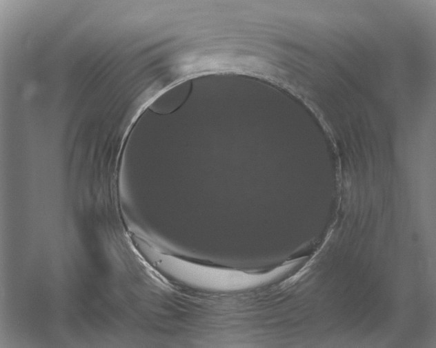 X0000058761529200510071503