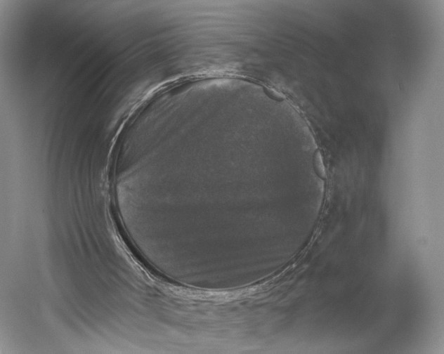 X0000058760002200510171211