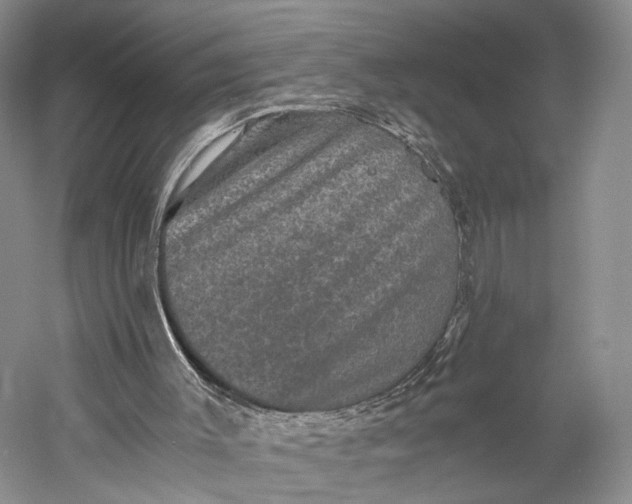 X0000058760003200510171211