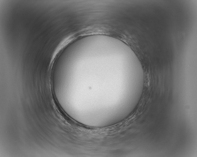 X0000058760004200510171211