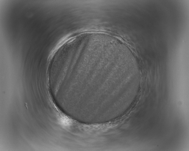 X0000058760005200510171211