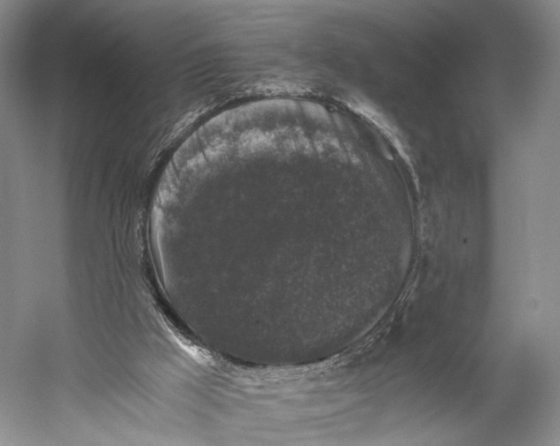 X0000058760009200510171211