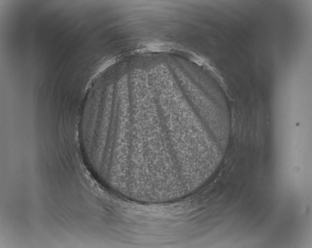 X0000058760010200510171211