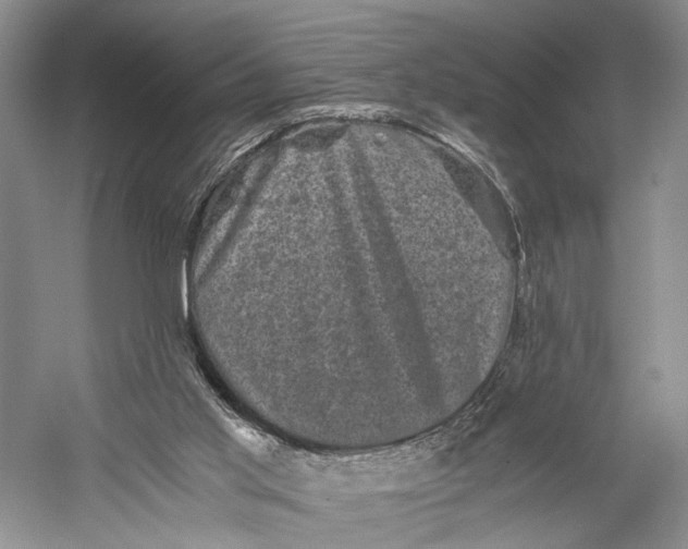 X0000058760013200510171211