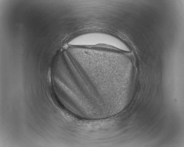 X0000058760021200510171211