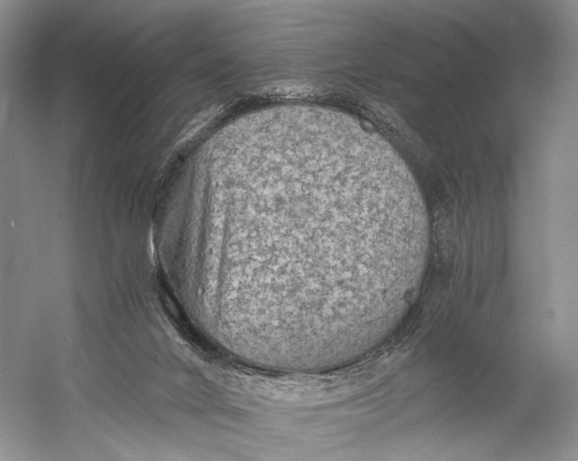X0000058760024200510171211