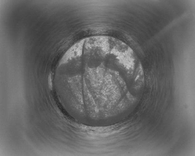 X0000058760026200510171211