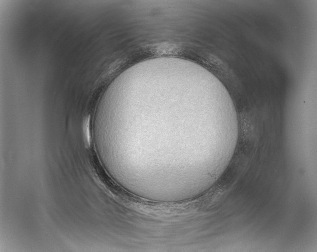 X0000058760028200510171211