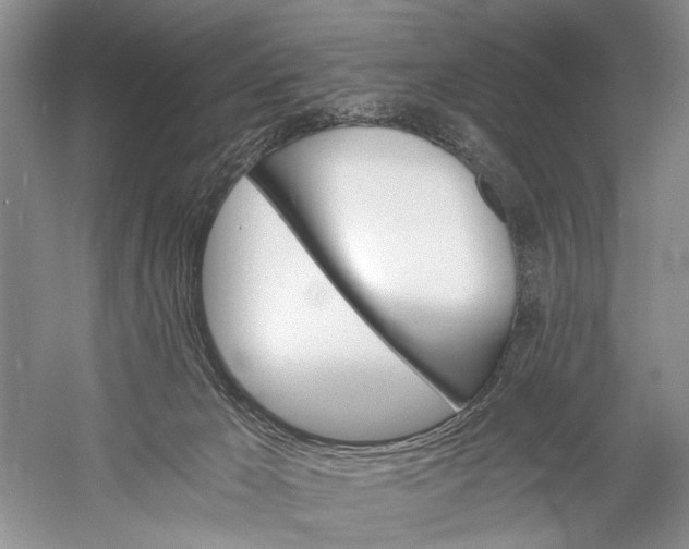 X0000058760029200510171211