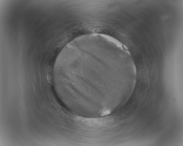 X0000058760030200510171211