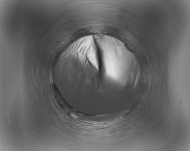 X0000058760031200510171211