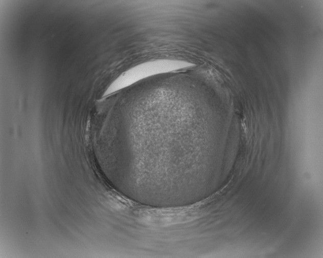 X0000058760033200510171211