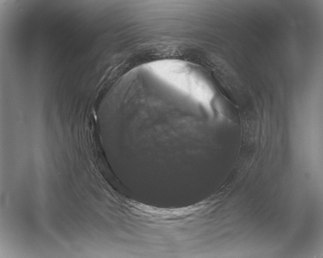 X0000058760035200510171211