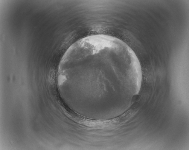 X0000058760036200510171211