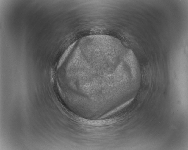 X0000058760038200510171211