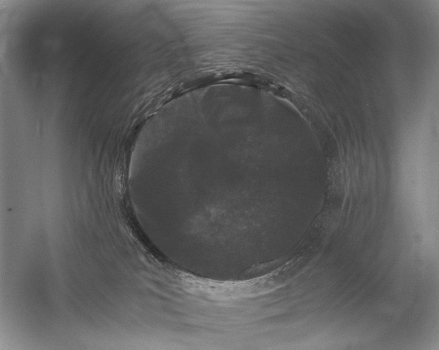 X0000058760039200510171211