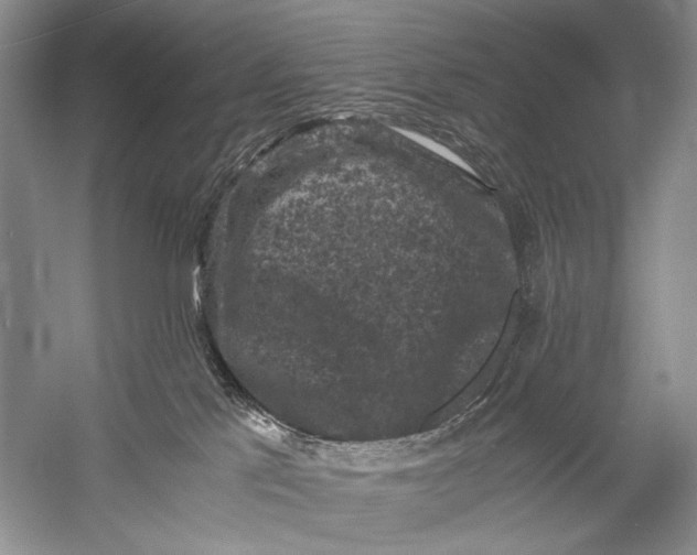 X0000058760041200510171211