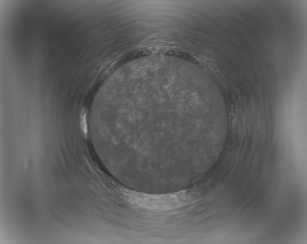 X0000058760042200510171211