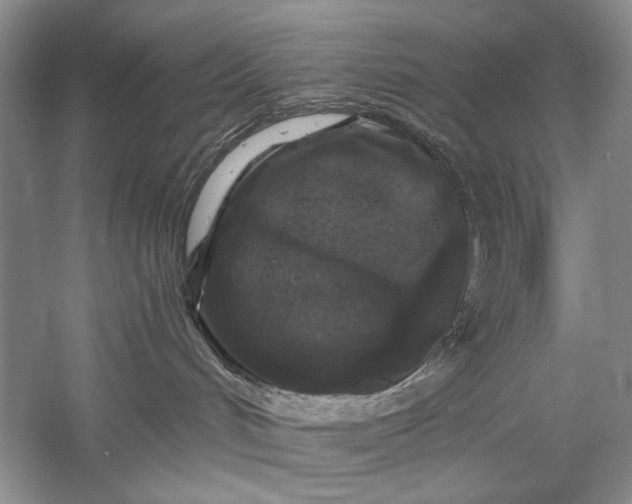 X0000058760048200510171211