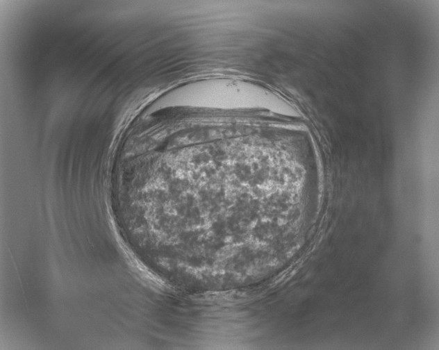 X0000058760049200510171210