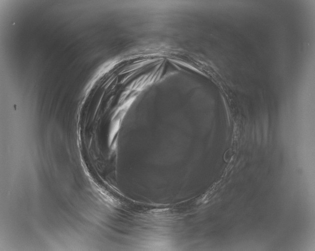 X0000058760054200510171210